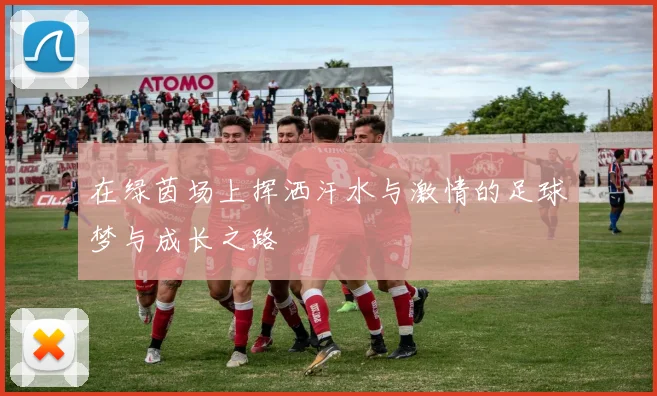 在绿茵场上挥洒汗水与激情的足球梦与成长之路