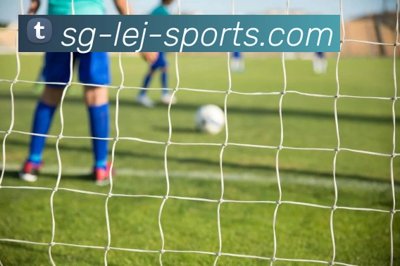 乐竞官网平台生态图